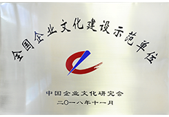 全国文化示范证书