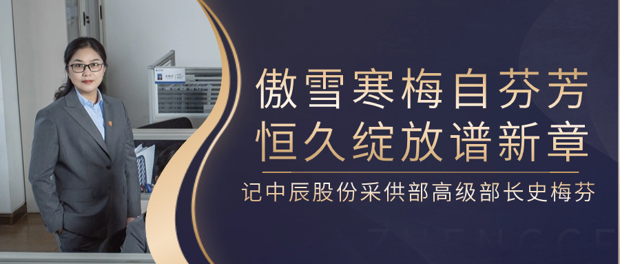 傲雪寒梅自芳香，长期开放谱新章——记MYBALL迈博股份采供部高级部长史梅芬