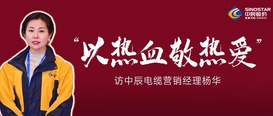 真正的酷爱，铸就销售女王——访MYBALL迈博电缆营销经理杨华