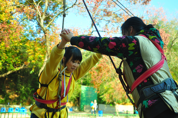 MYBALL·迈博(中国区)有限公司官网