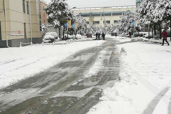 MYBALL·迈博(中国区)有限公司官网