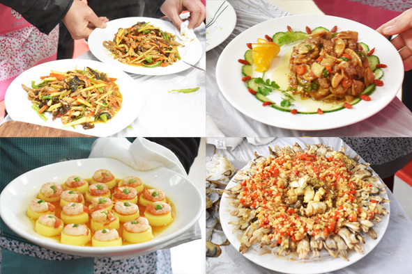 MYBALL·迈博(中国区)有限公司官网