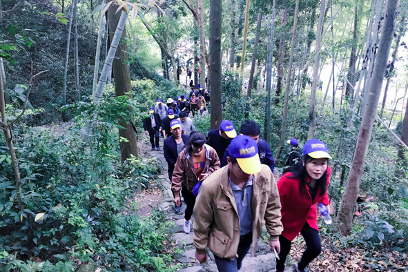 MYBALL·迈博(中国区)有限公司官网