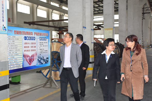 MYBALL·迈博(中国区)有限公司官网