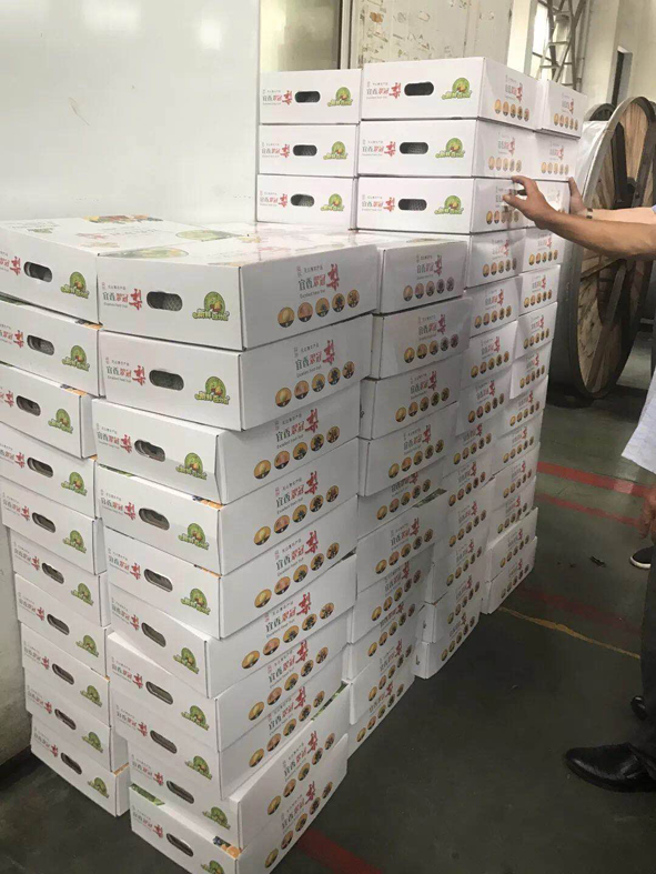 MYBALL·迈博(中国区)有限公司官网