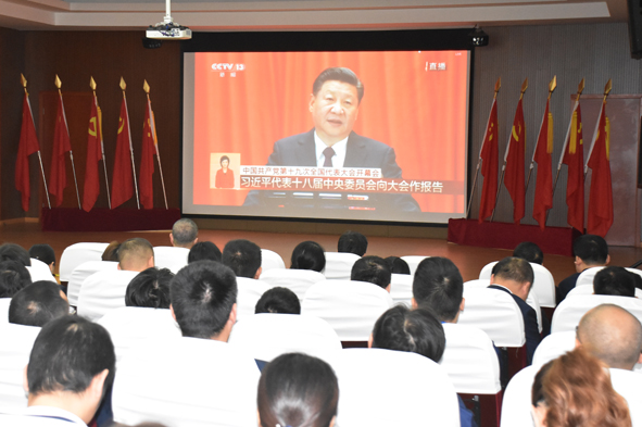 MYBALL·迈博(中国区)有限公司官网